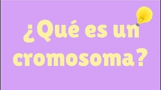 ¿Qué es un cromosoma [upl. by Oinigih]