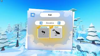 UPDATE PenguinAuk  Feather Family  Roblox [upl. by Cod160]