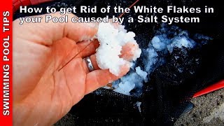 How to Get Rid of the White Flakes in your Pool Caused by Your Salt System SWG [upl. by Wiener20]