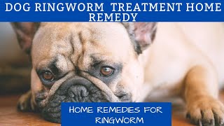 Dog ringworm treatment home remedy  Home Remedies for Ringworm [upl. by Namzzaj247]