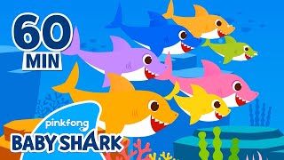 Baby Shark Doo Doo Doo 1 hour  Compilation  More and More  Baby Shark Official [upl. by Barcus]