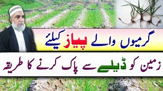 How to clear land from Deela before cultivation of summer Onion crop  Crop Reformer [upl. by Alamat]