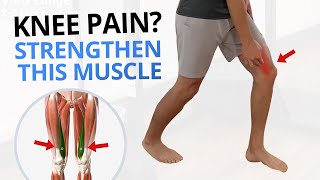 4 Quadriceps VMO Strengthening Exercises for Painful Knees [upl. by Eelibuj]