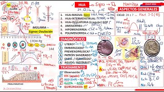 GINECOLOGÍA  PARTE IX [upl. by Tebazile]