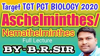 Phylum Aschelminthes Nemathelminthes  Nematode  UP TGT PGT BIOLOGY  Class nematode  B R Sir [upl. by Fleda301]