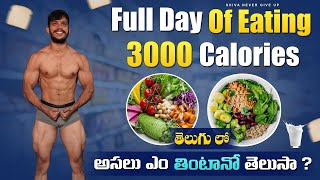 full day of eating 3000 calories for muscle building  bulking shiva fitness [upl. by Tedi]