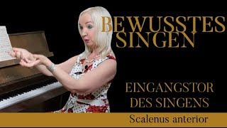 Scalenus anterior DAS EINGANGSTOR DES SINGENS – Supraleitung Methode BEWUSSTES SINGEN Teil 11 [upl. by Acinoj789]