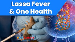 Explained Lassa Fever amp One Health [upl. by Enelrats]