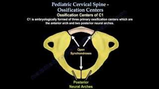 Pediatric Cervical Spine Ossification Centers  Everything You Need To Know  Dr Nabil Ebraheim [upl. by Haydon979]