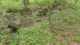 Exploring History at Uplands Reserve near Flemington NJ [upl. by Salisbarry725]