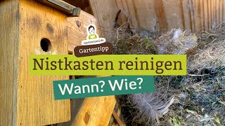 Nistkasten sauber machen für glückliche Vogelbabys Wann und wie reinigt man Vogelhäuser [upl. by Lourdes]