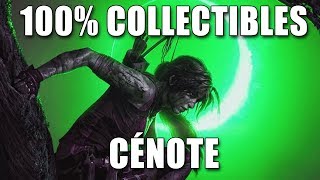 SHADOW OF THE TOMB RAIDER  100 CÉNOTE Défis Tombeaux Documents Reliques Caches [upl. by Ahsiryt]