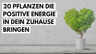 20 Pflanzen die positive Energie in dein zuhause bringen und die negativen Kräfte entfernen [upl. by Yremogtnom]