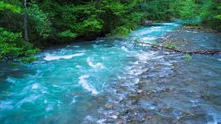 Calming Sound of Turquoise Mountain River Nature Sounds Flowing Water White Noise for Sleeping [upl. by Anitsirhcairam]