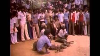 Nodi Swamy  Nodi Swamy navirode heege  Shankarnag hits [upl. by Aelaza]