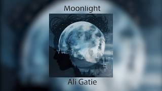 Ali Gatie  Moonlight Lyrics Prod Adriano [upl. by Azenav]