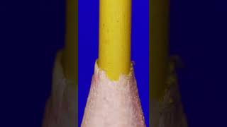 Color pencil amp Tweezers v2 ASMR Close upmacro macro asmrvideo satisfying asmrsounds closeup [upl. by Lipkin]