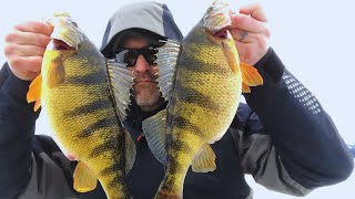 Ice Fishing Lake Cascade JUMBO Perch  Where and How to Find The GIANTS  Hisea Boot Test [upl. by Turrell]