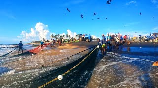 Amazing Seine Net Fishing In The Evening  A Thrilling Seine Net Fishing Adventure [upl. by Liamsi]