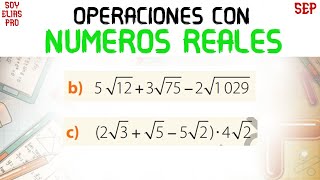 Operaciones con Números Reales [upl. by Garlen671]