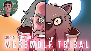 How To Build The Best Werewolf Deck on a Budget  Tovolar  50  Budget Commander MTG [upl. by Edmonda]