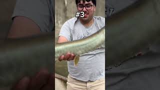 10 MUSKIES IN 3 DAYS FULL VID LINKED ABOVE [upl. by Notyalk]