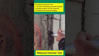 What is rebound hammer Test shorts [upl. by Rosenwald]