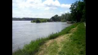 Donau bei Hochwasser in Orth an der Donau beim Uferhaus [upl. by Esela]