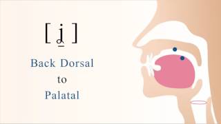 ʝ̠  voiced dorsal palatal non sibilant fricative [upl. by Kendra]