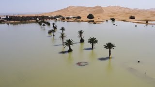 Le Sahara transformé par les pluies diluviennes [upl. by Vial]