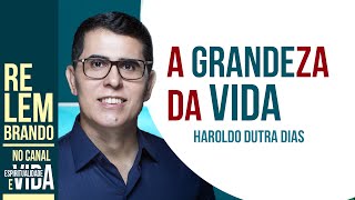 A GRANDEZA DA VIDA  Resiliência e Humildade no Caminho Espiritual [upl. by Roane]