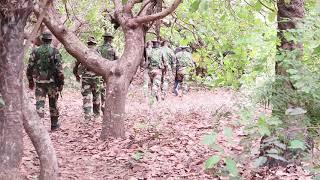 Casamance  Cinq bases rebelles du mfdc tombent entre les mains de larmée [upl. by Sedlik]