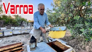 Varroa Mücadelesi Devam Ediyor  Arıcılık Videoları [upl. by Anauqal]