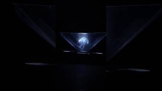 3D Hologram project ।shortvideo 3D Hologram experement [upl. by Andaira]