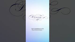 Calligraphy Flourishing Video Tutorial 🦋 Join The Flourish Space calligraphy lettering shorts [upl. by Moneta]