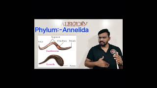 Phylum Annelida  Animal classification  Viral Short  Avinash sir [upl. by Anegroeg]