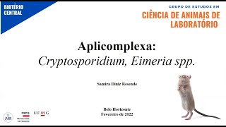 Aplicomplexa Cryptosporidium e Eimeria spp [upl. by Serge87]