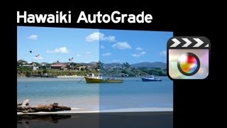 Hawaiki AutoGrade for Final Cut Pro X [upl. by Trebmal]