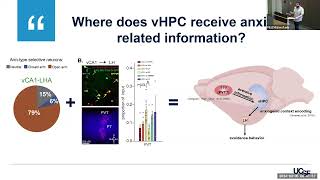 A ThalamicVentral Hippocampal Circuit That Supports AnxietyRelated Behavior [upl. by Figone]