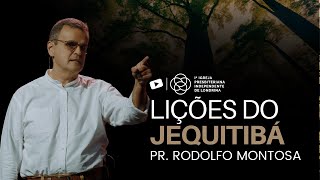 Lições do Jequitibá  Pr Rodolfo Montosa [upl. by Notlef247]