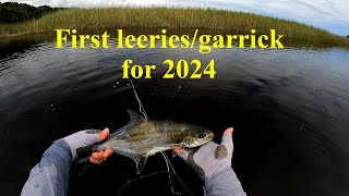 Touw River Wilderness fishing  Fly fishing for garrickleervis from float tube [upl. by Garihc]