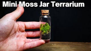 How to  Mini Moss Terrarium [upl. by Hjerpe]