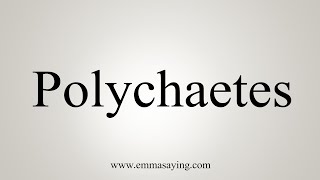 How To Say Polychaetes [upl. by Adnohsirk13]