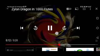 Zylon Dragon Crying In 1000 Flutes [upl. by Osman]