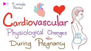 Cardiovascular Physiological Changes During Pregnancy [upl. by Anitnahs]