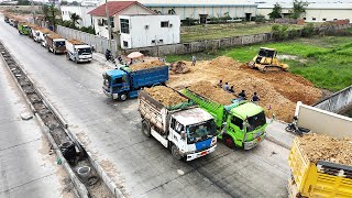 New Project Land Filling Up 5Ton Dump Truck Moving Dirt Mini Bulldozer KOMATSU Pushing Clearing Dirt [upl. by Eelrihs]