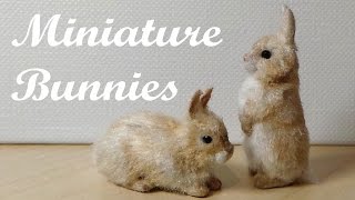 Miniature Bunnies  Rabbits  Polymer Clay Tutorial [upl. by Walker86]