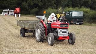 Massey Ferguson 135 [upl. by Veradia439]