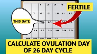 how to Calculate OVULATION DAYS for 26 Day Cycle [upl. by Einal]