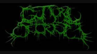 Guttural Secrete  Torturous Impregnation [upl. by Norraa435]